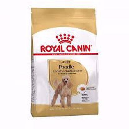 Ảnh của Royal Poodle Adult 500g