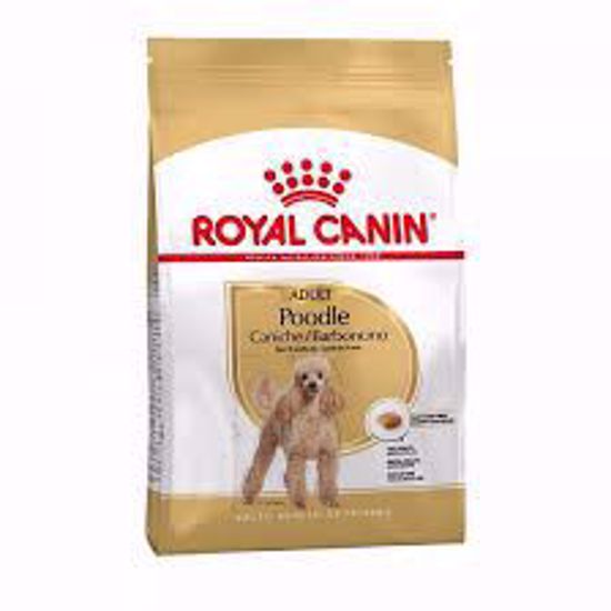 Ảnh của Royal Poodle Adult 500g