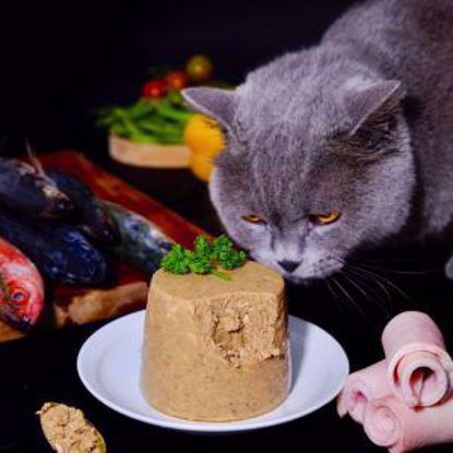 Ảnh của Pate tươi cá Collagen